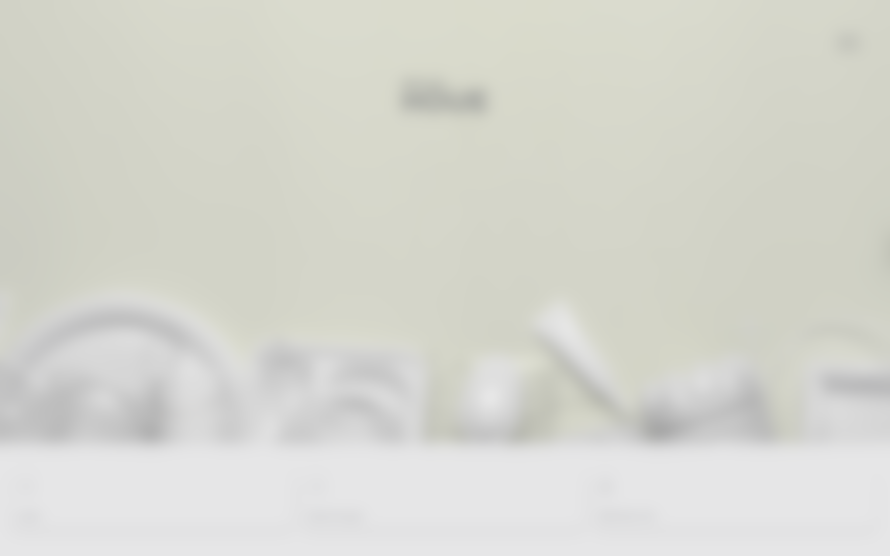 An image that cannot be loaded at the moment